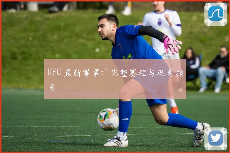UFC 最新赛事：完整赛程与观看指南