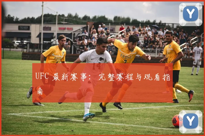 UFC 最新赛事:完整赛程与观看指南