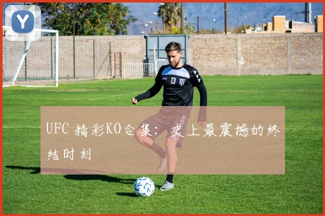 UFC 精彩KO合集：史上最震撼的终结时刻